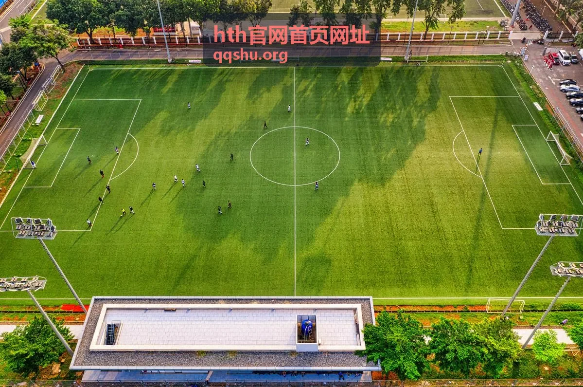 hth官网首页网址访问入口核对时逐项比对的示意画面